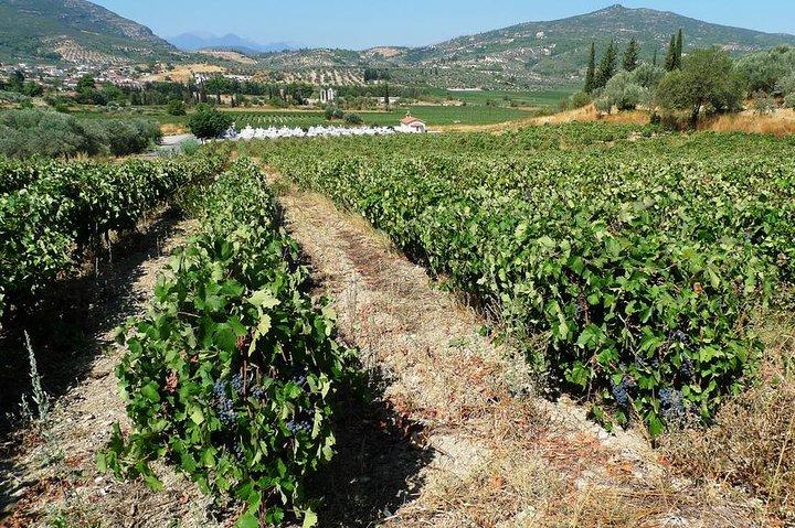 Private Dionysian Nemea Private Day Excursion