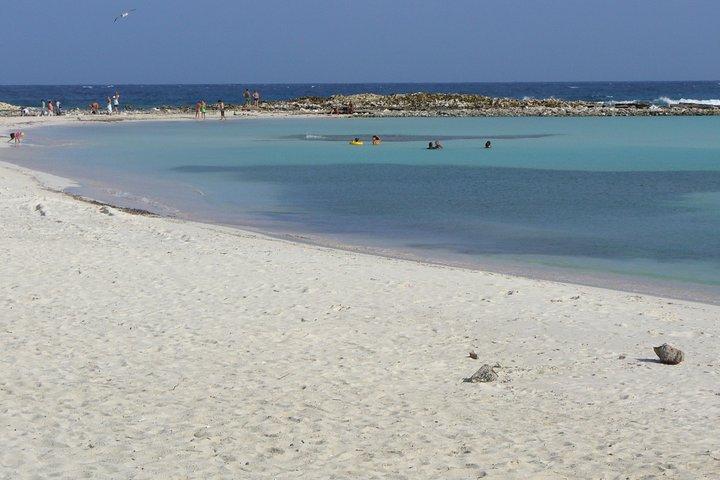 Aruba Mangel Halto and Baby Beach Snorkeling Guided Tour