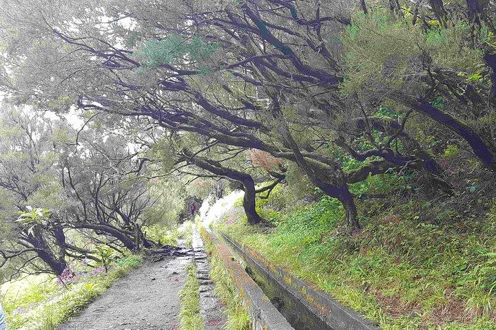 Private Guided Walk Levada 25 Fontes
