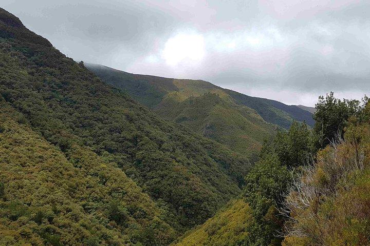 Private Guided Walk Levada 25 Fontes