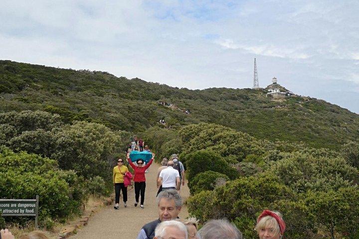 Private Cape of Good Hope Cape Point Penguin Kirstenbosch Tour.