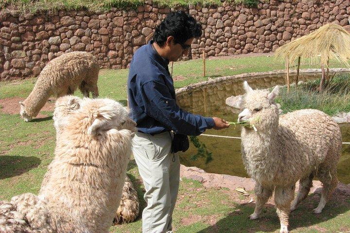 Sacred Valley Tour with Pisac Ruins: Private Full-Day