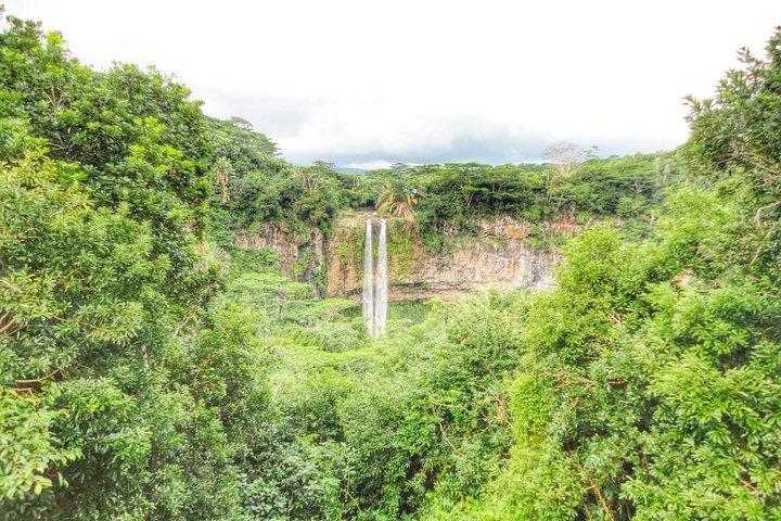 Wild Dolphin Swim & Curated Southwest Mauritius Experience