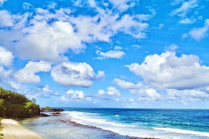 South Mauritius Private Day Tour: Tea Factory, Nature Park and Wild South Coast