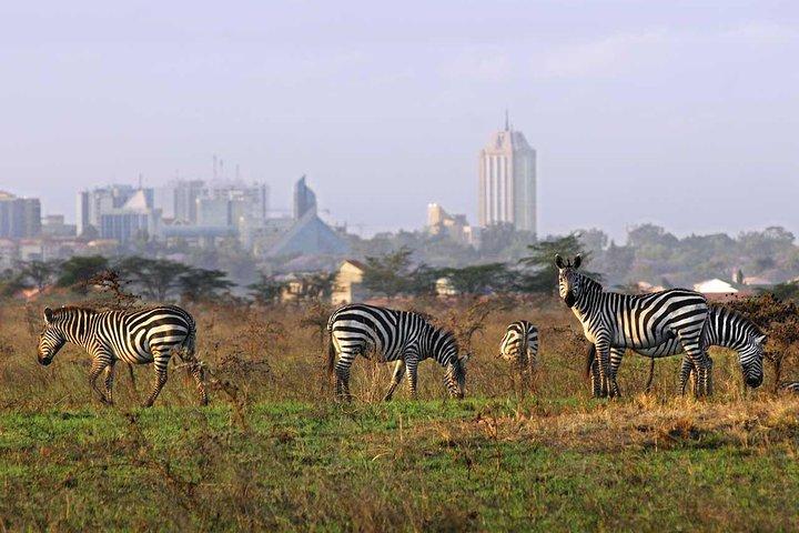 Nairobi National Park Half Day Tour