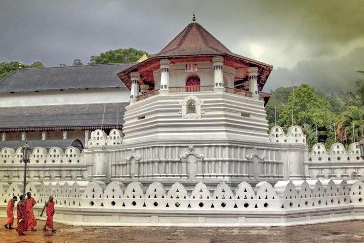 03 Days Highlights of Central Sri Lanka from Colombo