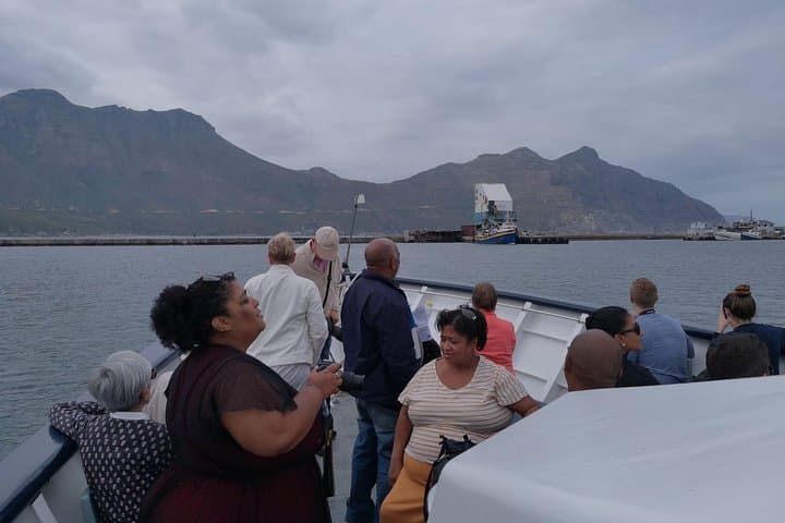 Private Cape of Good Hope Cape Point Penguins Kirstenbosch Tour