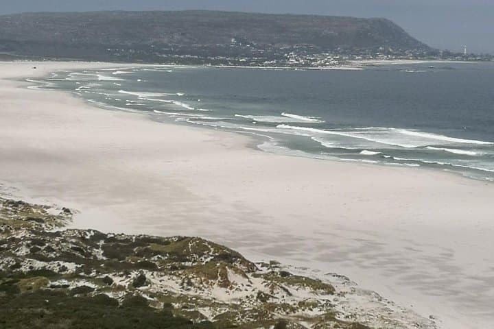 Private Cape of Good Hope Cape Point Penguins Kirstenbosch Tour