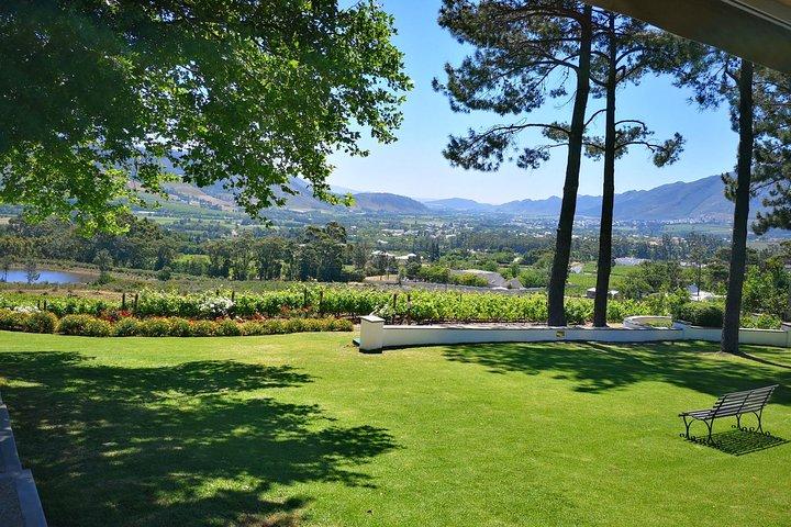 Private Cape Winelands from Stellenbosch OR Franschhoek OR Paarl