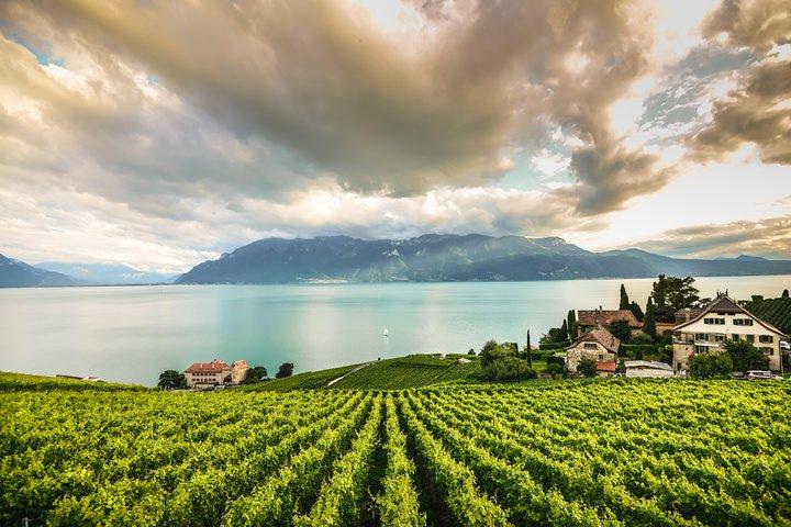Chillon Castle & Chaplin's world Tour with cruise from Lausanne