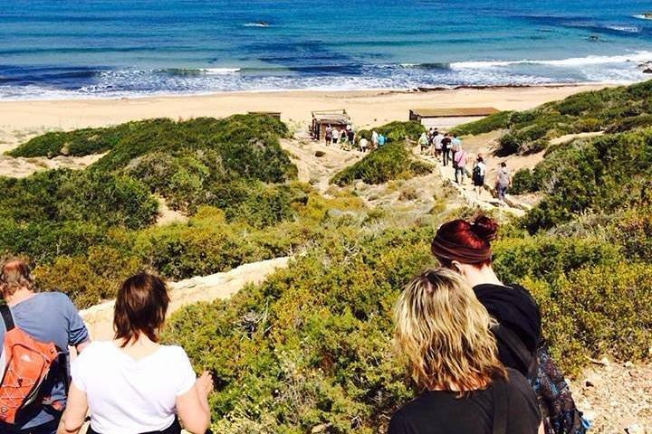 Half day Safari Tour to Akamas Peninsula from Paphos