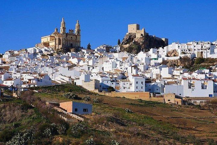 Private Guided Day Trip to the White Villages and Ronda from Seville
