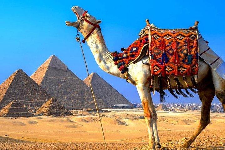 Private 8-Hour Tour Giza Pyramids and National Museum of Egyptian Civilization