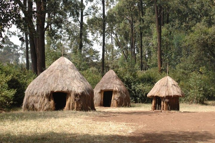 Giraffe Centre and Bomas of Kenya Full-Day Tour from Nairobi