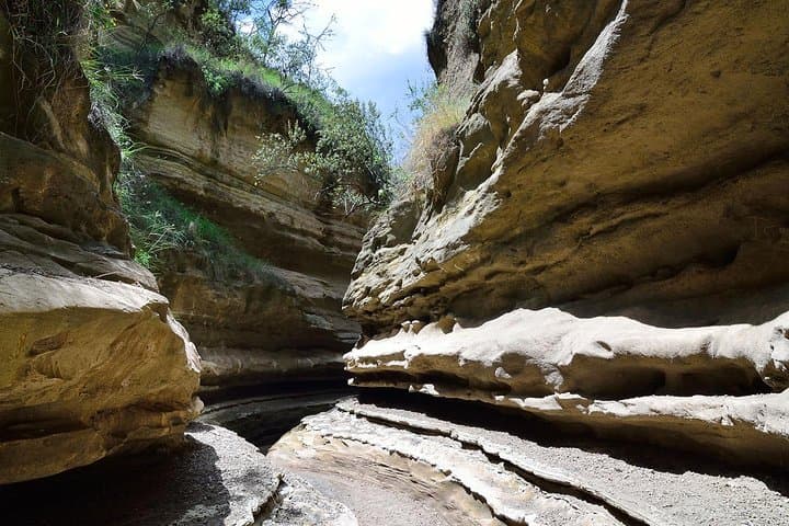 Small Group Budget Tour to Hells Gate National Park and Lake Naivasha Boat Ride