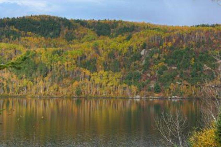 Laurentian Mountains Day Trip From Montreal