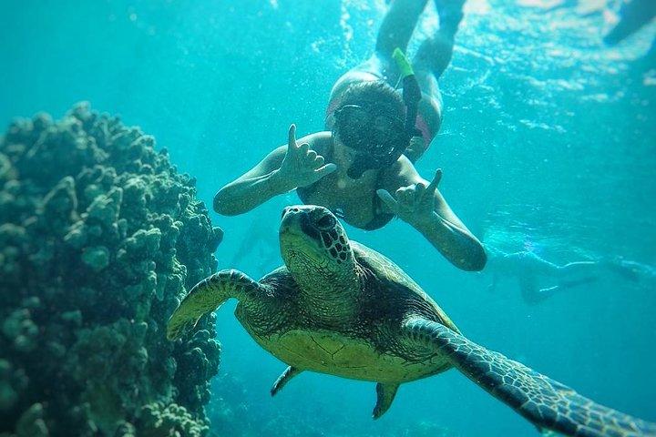West Maui Half Day Snorkel from Ka’anapali Beach