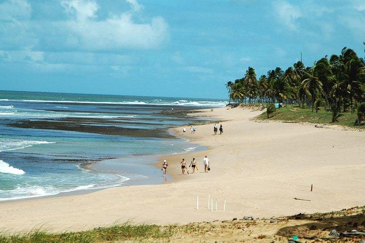 Praia Do Forte & Guarajuba Beach Day Trip