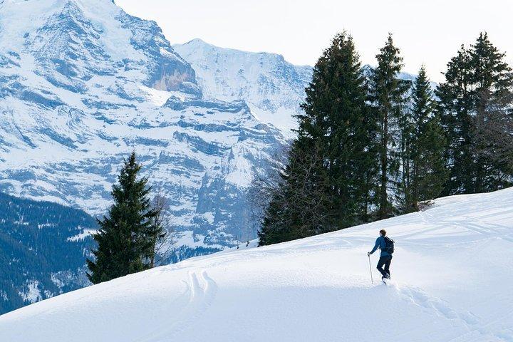 Snowshoe Adventure in the Swiss Alps
