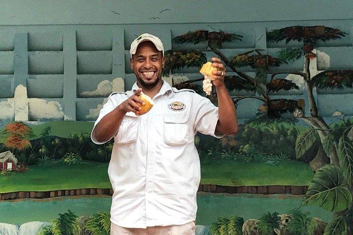 Punta Cana Monkeyland and Zipline Two Adventures in One Day