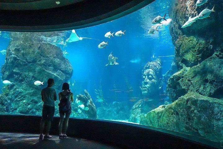 SEA LIFE Bangkok Ocean World Admission with Private Transfer