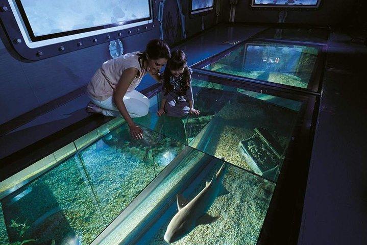 SEA LIFE Bangkok Ocean World Admission with Private Transfer