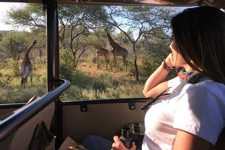 Kruger Safari, Hazyview
