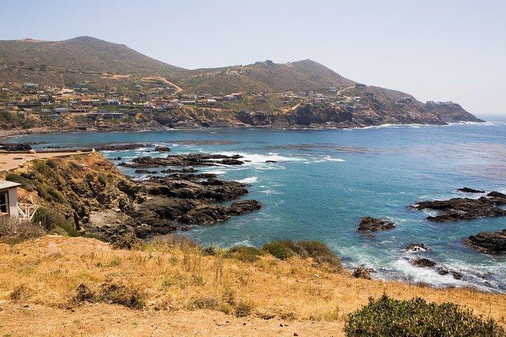 Ensenada Shore Excursion: City Tour & La Bufadora