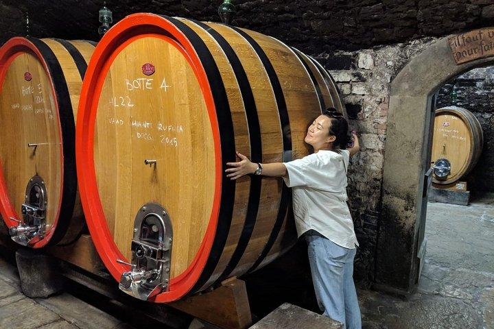 Small Group Chianti Wine Tasting with Seven Tuscan Wines