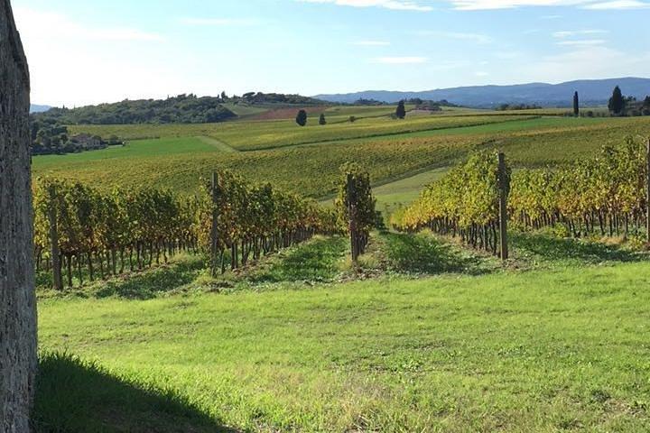 Small Group Chianti Wine Tasting with Seven Tuscan Wines