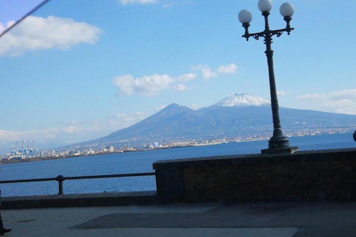 Pizza Tour | Vesuvius & Pompeii included pizza with driver