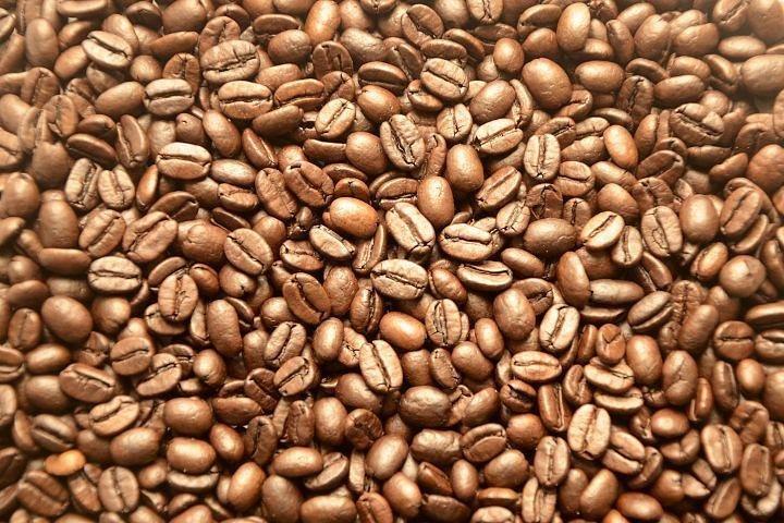 Nairobi day tour to the Coffee farm