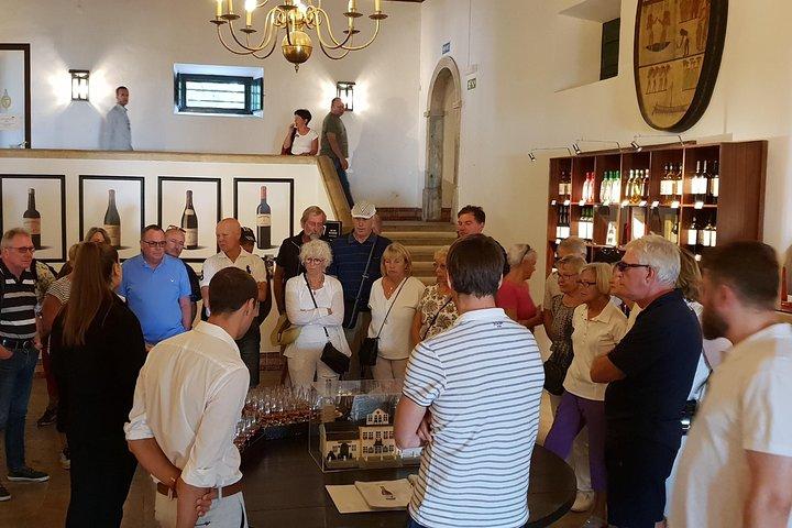 Private Tour Sesimbra Blue Coast