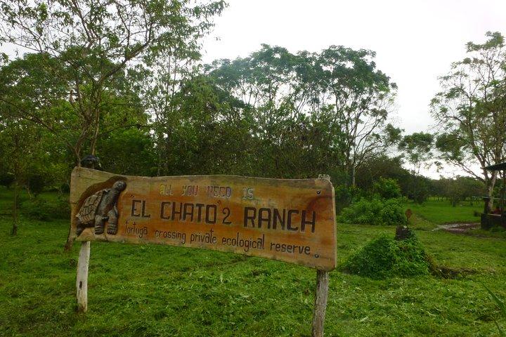 Skip the Line:El Chato 2 Reserve Admission Ticket in Santa Cruz Island,Galapagos
