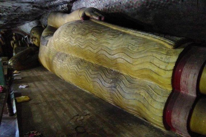 Private day trip Sigiriya, Dambulla with Kaudulla national park safari