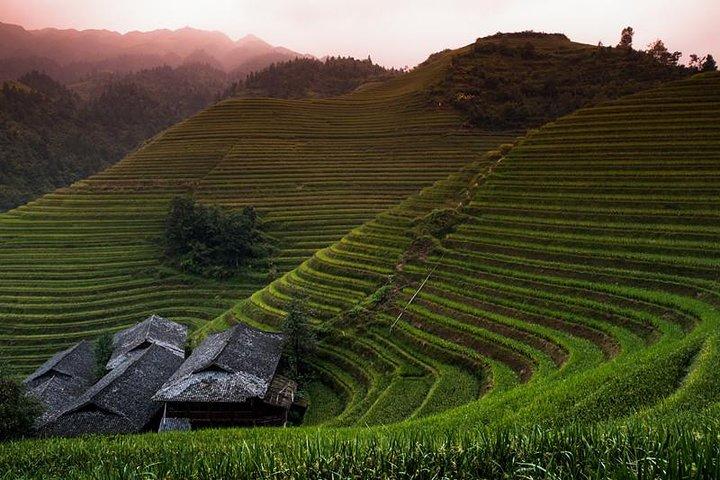 Mini Group: Longji Rice Terraced Fields and Minority Villages Tour