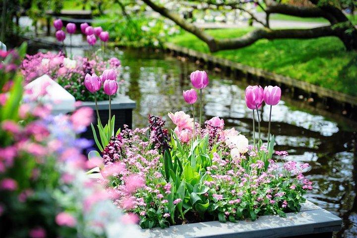 Day Trip to Keukenhof Gardens from Amsterdam with Tour Guide
