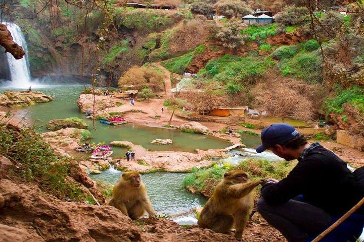 Excursion: Full Day Trip to Ouzoud waterfalls From Marrakech