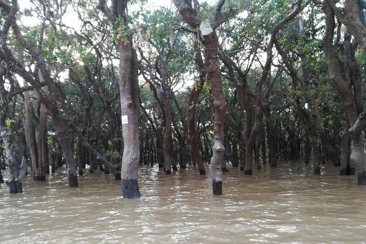 Kulen Mountain and Floating Village (Kampong Phluk) Tour