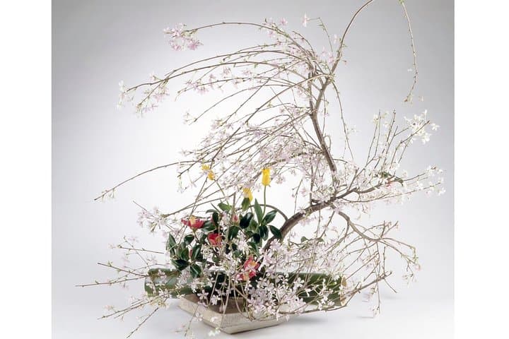 Tokyo Ikebana, Japanese Traditional Flower Arrangement Experience