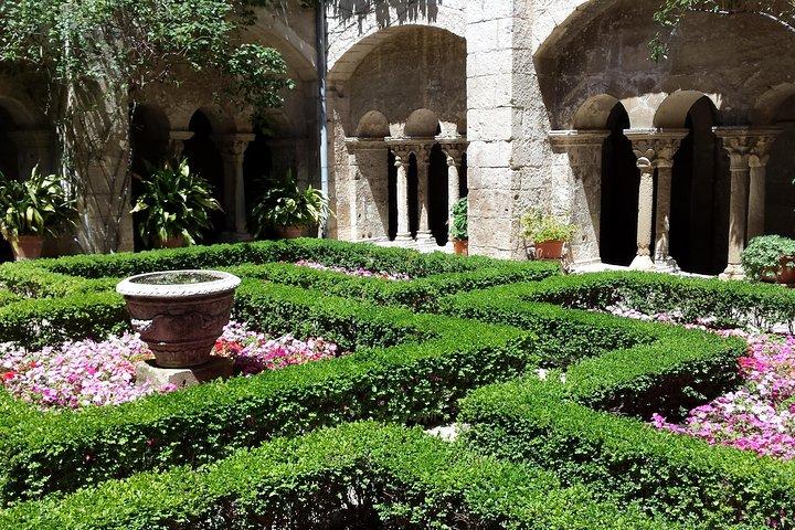 Half-Day Van Gogh Tour of Provence from Avignon