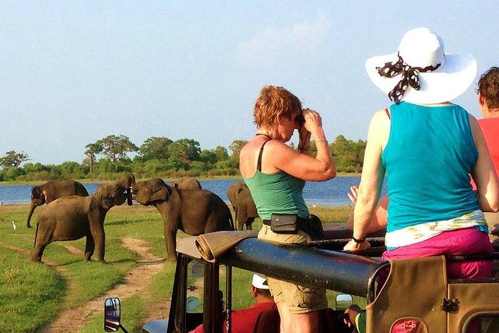 Yala Safari Tour from Hambantota Port (Shore Excursion)