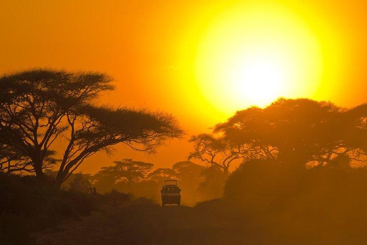 Yala Safari Tour from Hambantota Port (Shore Excursion)