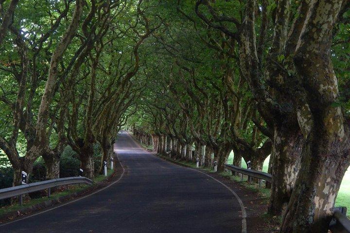 Half Day Terceira Island Tour by 4x4