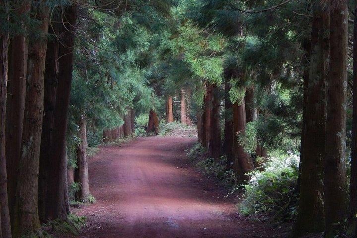 Half Day Terceira Island Tour by 4x4