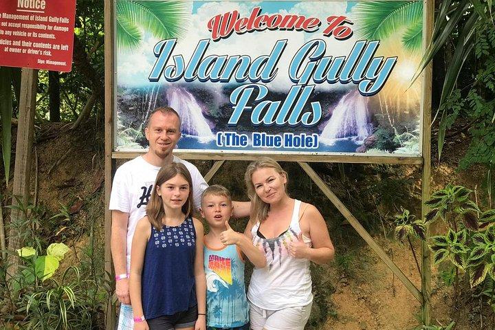 Blue Hole & Jamaica Sightseen Tour Included Transportation