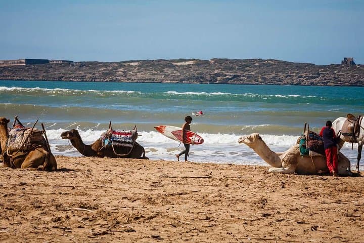 Day Trip From Marrakech To Essaouira