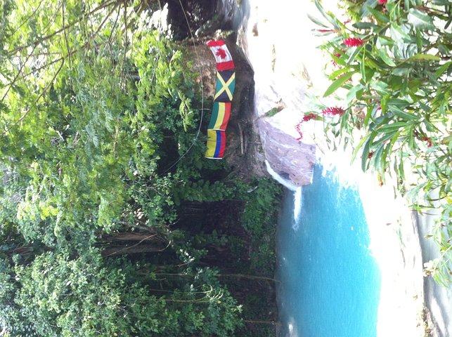 Dunn's River Falls and Jamaica Sightseeing Private Tour