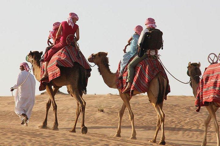 Dubai: ATV Ride and Desert Safari Drive (Morning Adventure)