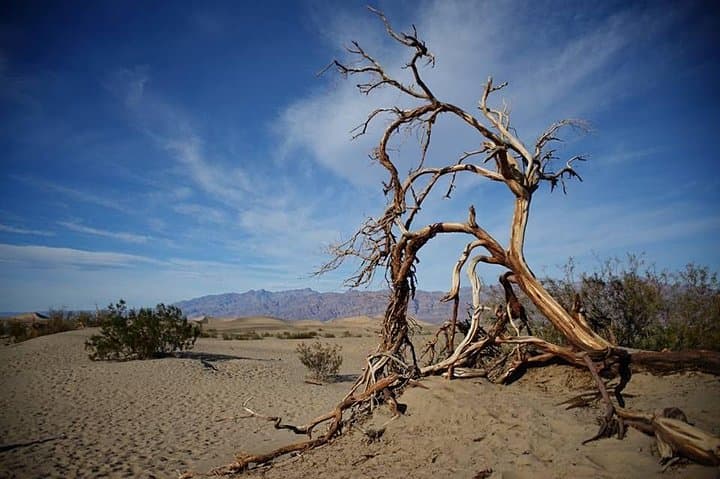 Small-Group Death Valley National Park Day Tour from Las Vegas